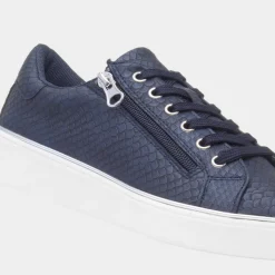 Lilley & Skinner Gym Womens Navy Shoe