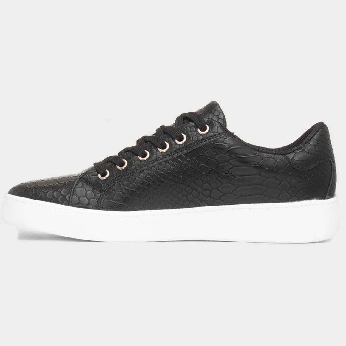 Lilley & Skinner Gym Womens Black Shoe