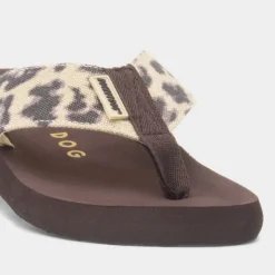 Rocket Dog Adios Dexter Womens Brown Flip Flop